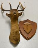 Click for more details.